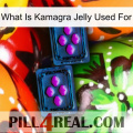 What Is Kamagra Jelly Used For 03